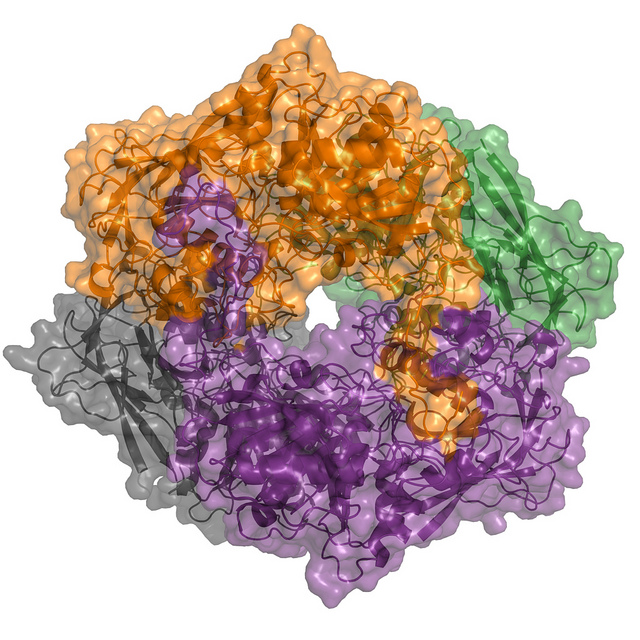 Closer look at microorganism provides insight on carbon cycling