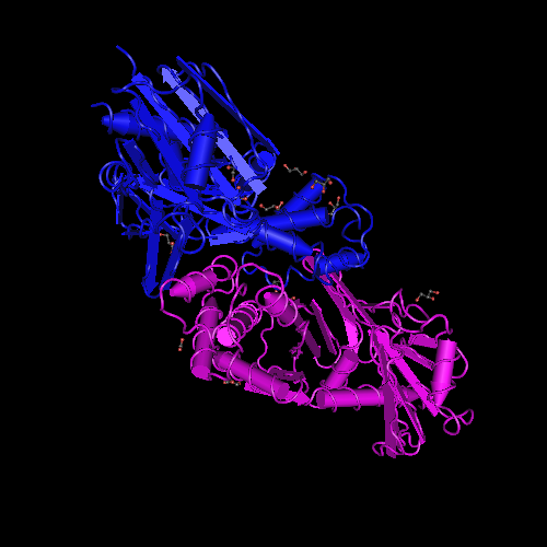 Researchers determine three dimensional structure of galactose metabolic pathway protein