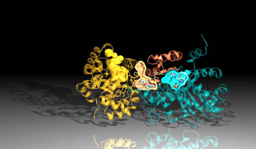 "Monkey wrench" molecule jams tuberculosis protein