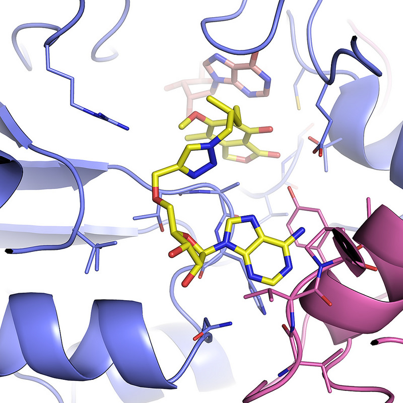 Study reveals structure of tuberculosis enzyme, could offer drug target