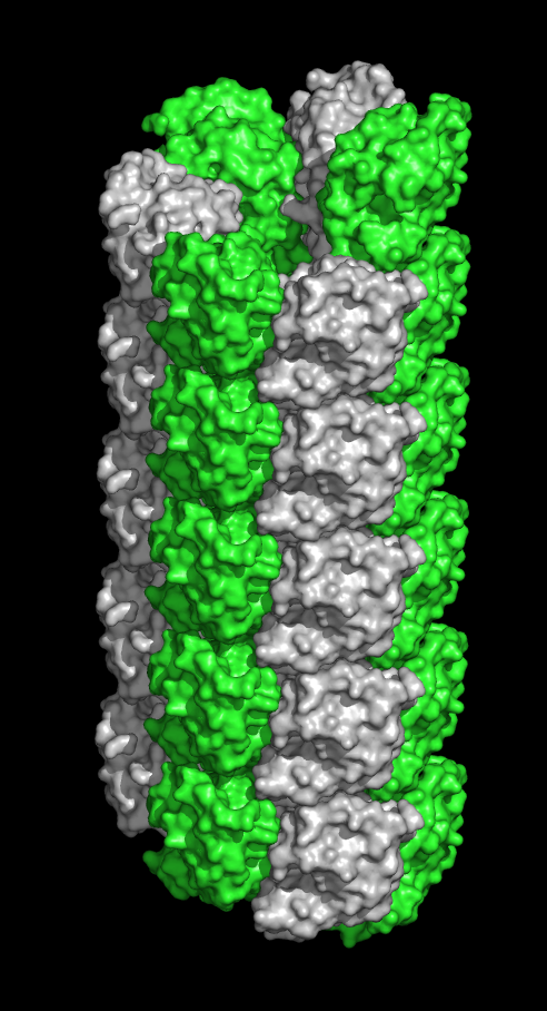 Fertilization discovery: Do sperm carry tiny harpoons?