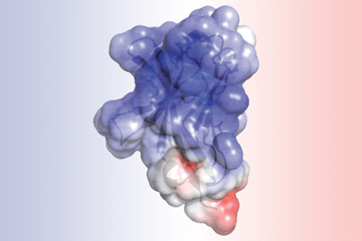 Detailing the Molecular Roots of Alzheimer’s Disease