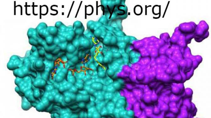 Researchers use Theta for real-time analysis of COVID-19 proteins