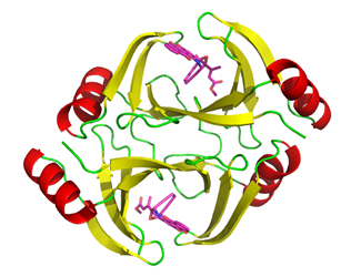 New Clues to Improving Chemotherapies