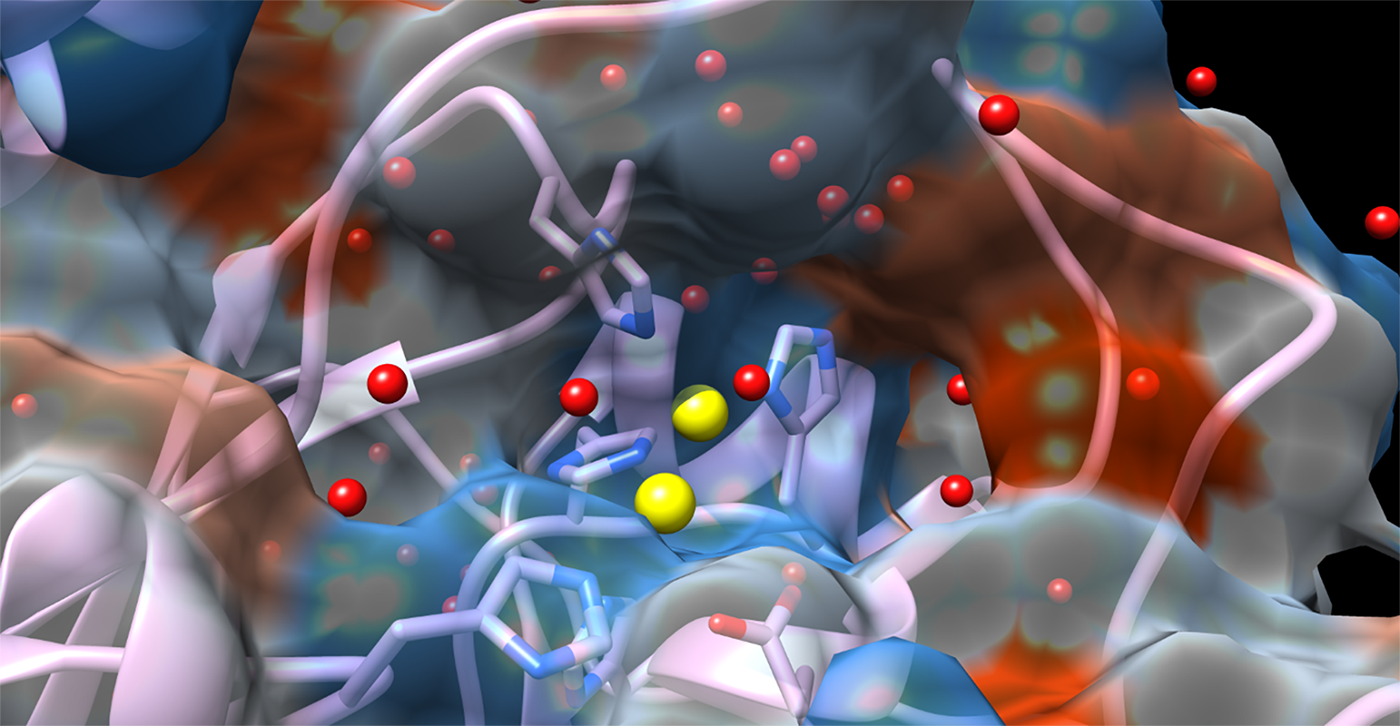 Advanced Photon Source illuminates weakness in COVID-19