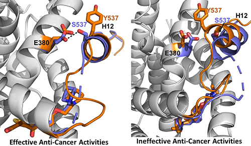 Molecular representations of the helix 12 