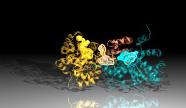 "Monkey wrench" molecule jams tuberculosis protein