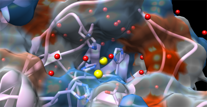 UChicago, Argonne scientists zero in on molecules that could fight COVID-19