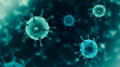 Lessons learned from intense study of COVID-19 help researchers prepare for future viral threats