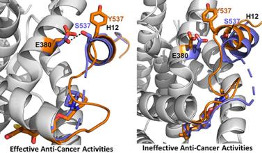 Molecular representations of the helix 12